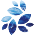 Nkn