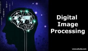 Digital Image Processing Notes | PDF, Syllabus, Books | B.Tech (2024)