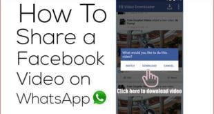 share facebook video on whatsapp | how to send facebook video to whatsapp | how to share facebook video to whatsapp | how to share facebook videos on whatsapp | how to send a video from facebook to whatsapp | how to send a facebook video to whatsapp | share facebook video to whatsapp | how to share a video from facebook to whatsapp