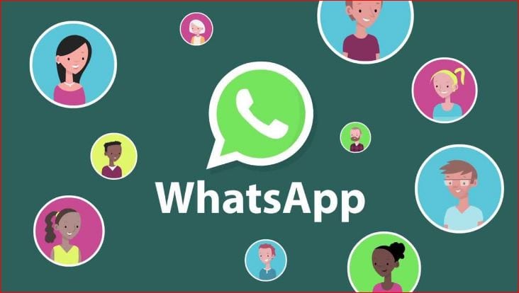 whatsapp profile picture full size | whatsapp profile pic without cropping online | no crop for whatsapp dp online | how to set whatsapp profile picture without cropping on iphone