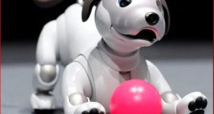 Sony New Robot Dog